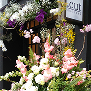 リニューアルopen