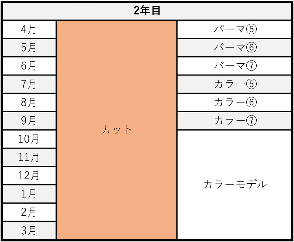 2年目のカリキュラム