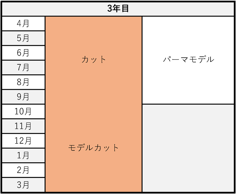 3年目のカリキュラム
